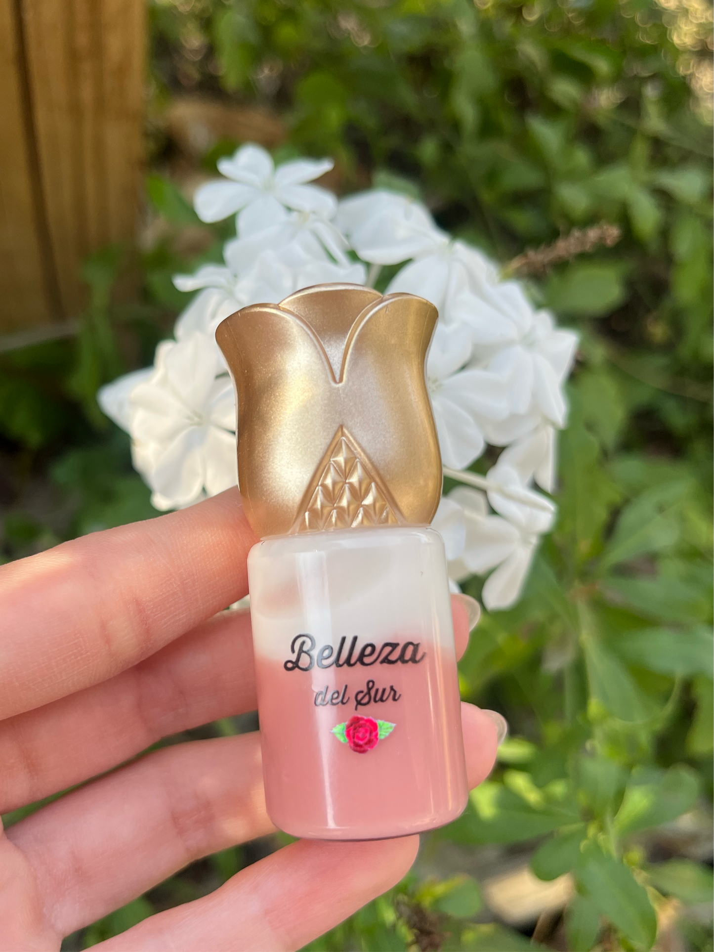 Horchata Latte Lipgloss